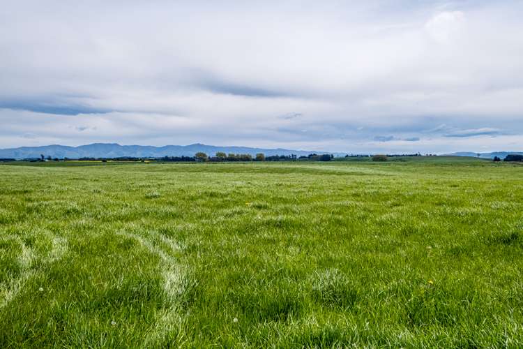 Lyall Road Saint Andrews_2