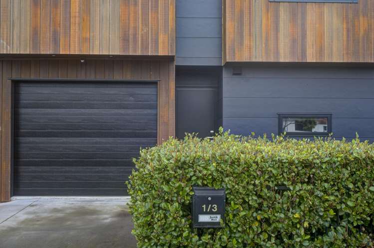 1/3 Elmira Avenue_2