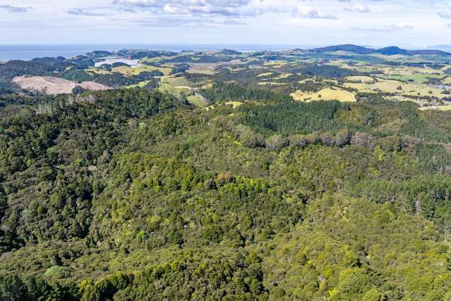 Taraunui Road Parua Bay_1