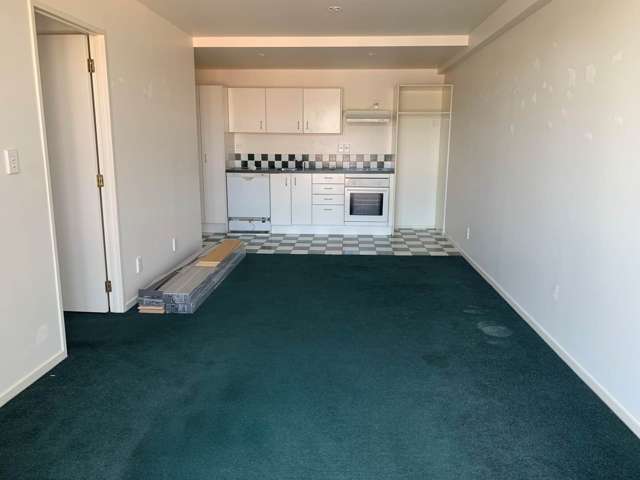 3h/250 Richmond Road Grey Lynn_3