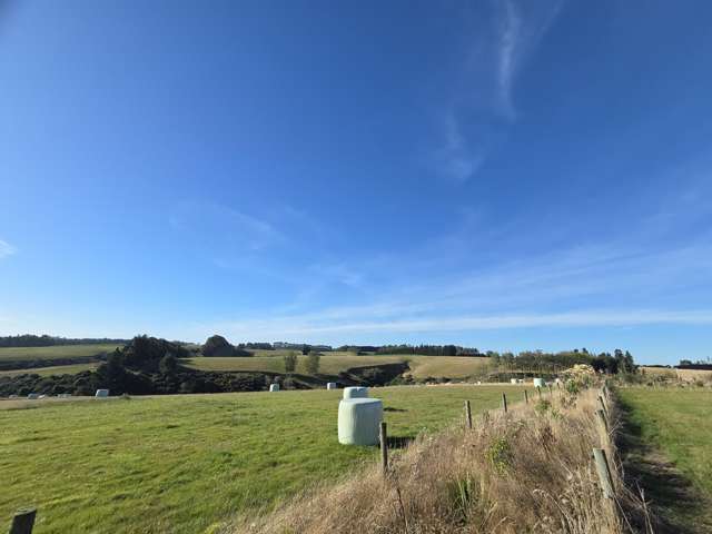 80 Cameron Road Balclutha_1