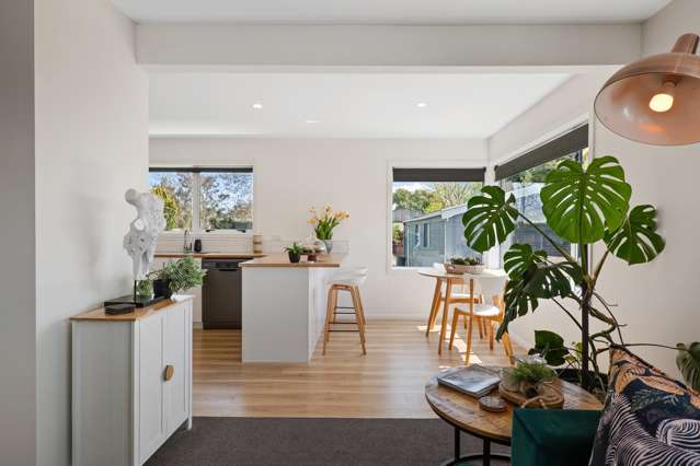 19 Eglinton Street Avondale_2