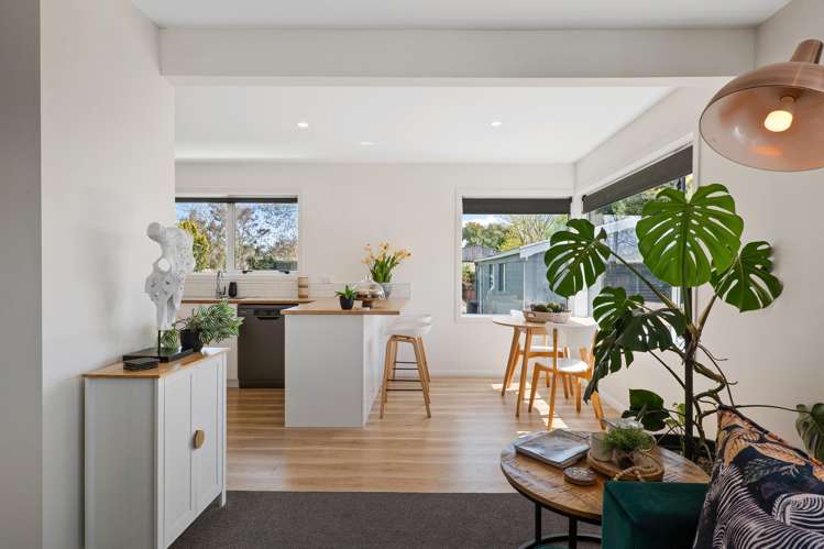 19 Eglinton Street Avondale_2