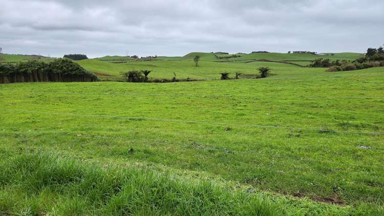 953 Upland Road Egmont Village_28