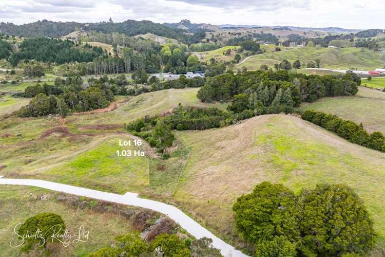 Whakapirau Road Maungaturoto_30