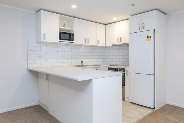 26 Boardman Lane Auckland Central_3