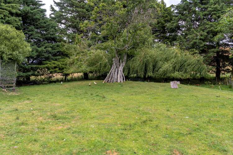 7 Northcroft Road Rangitumau_5