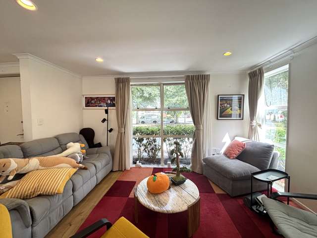 55 Bruce Pulman Drive Takanini_1