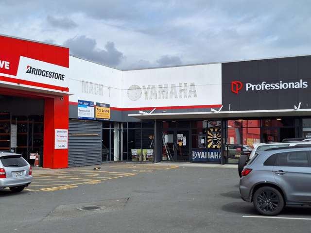 Large format retail with high profile