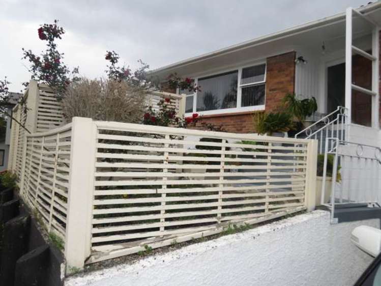 72 Elliot Street Pahurehure_19