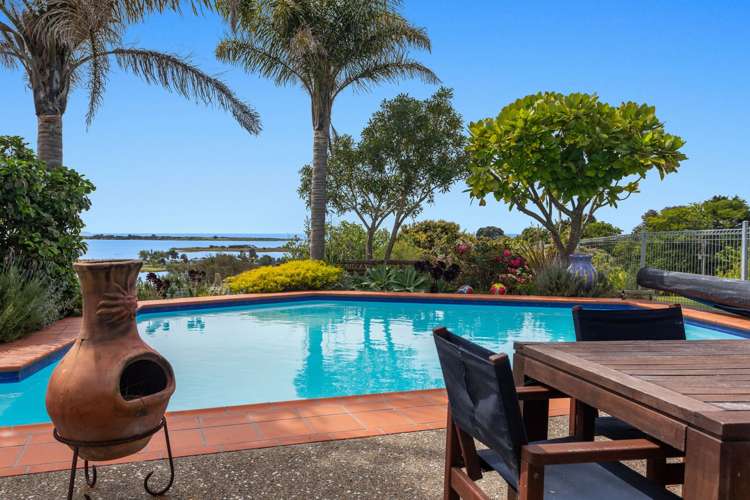 75 Ohiwa Loop Road Opotiki and Surrounds_21