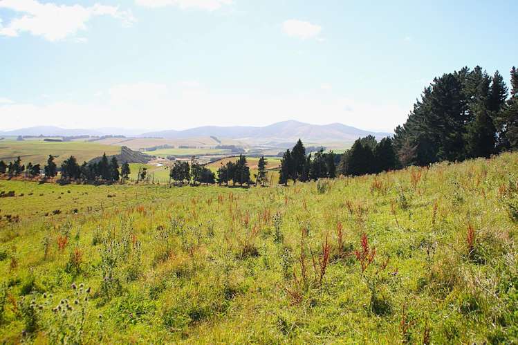 93 Ridgedale Road Te Anau_7