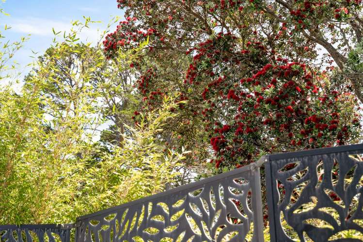 19a Wilton Smith Avenue Pauanui_13