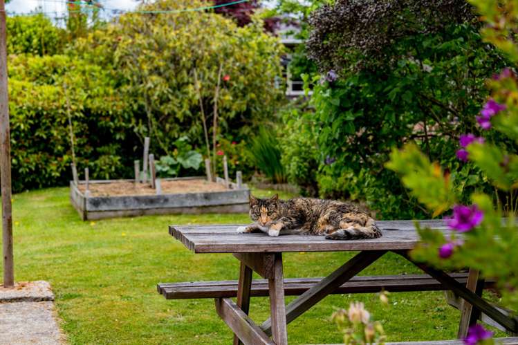 61 Beresford Street Wakari_21