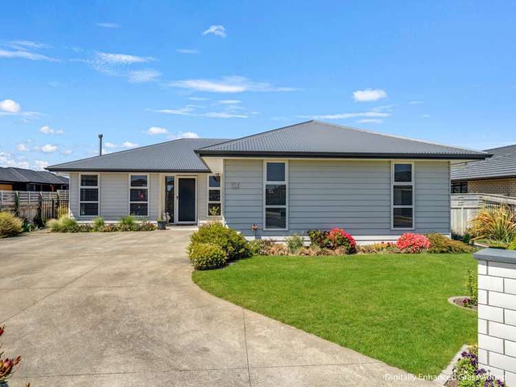 17 Morrell Street Tawhero_20