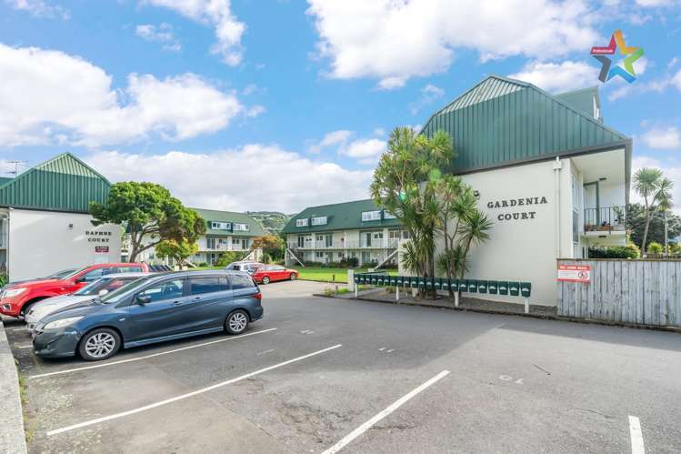 7/23 Britannia Street Petone_9