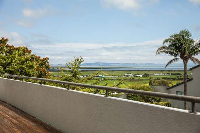 212 The Booms Avenue Thames_1