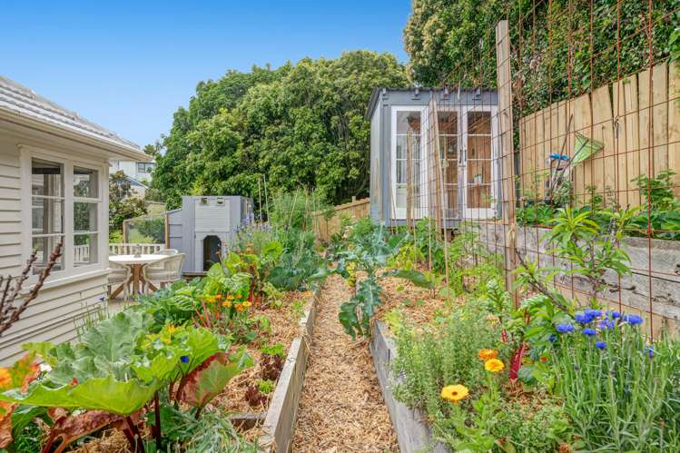 10 St James Ave Helensville_8