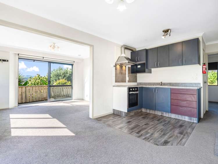 54a Hampton Terrace Parkvale_8