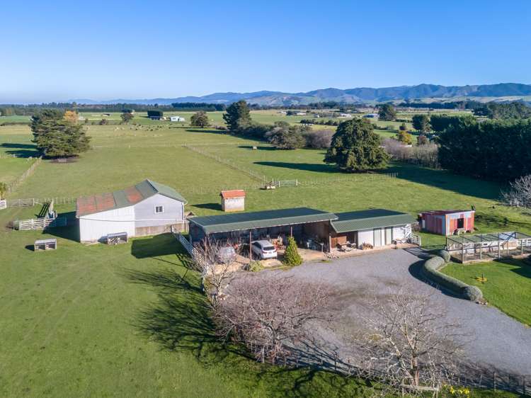 231 Norfolk Road Carterton_20