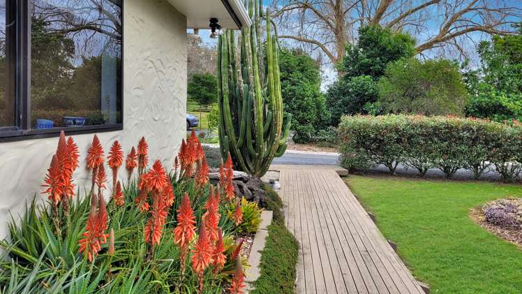 387 Kerikeri Road Kerikeri_11