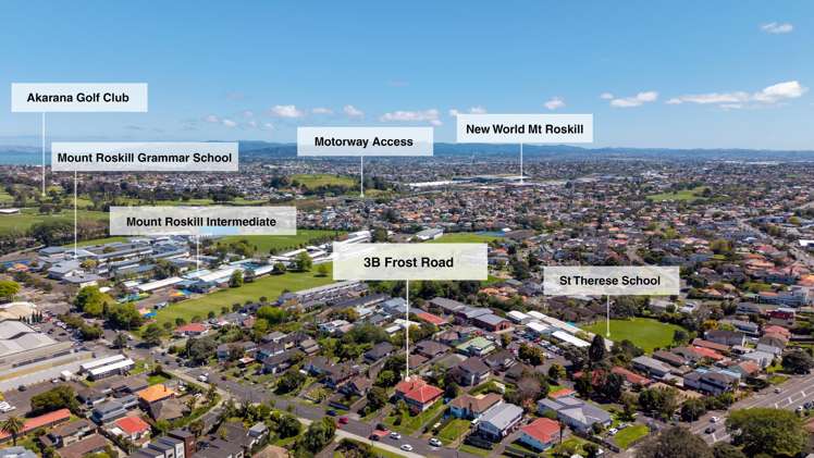 3B Frost Road Mount Roskill_14