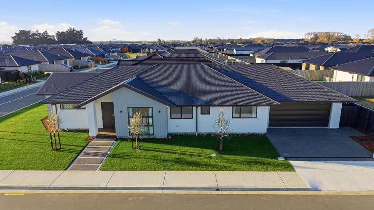 34 Stackwood Avenue Ravenswood_23