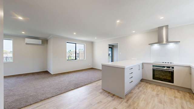 12A Van Dyk Place Putaruru_2