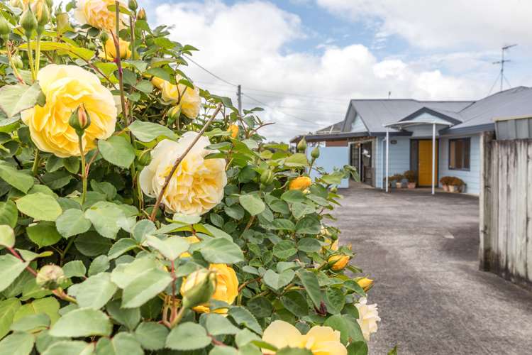 1/5 Marewa Street Te Atatu South_17