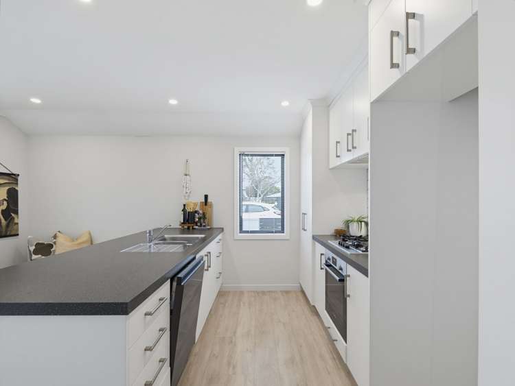 206 Park Road North Parkvale_11