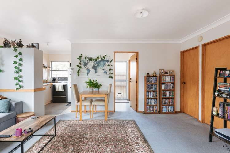 96a Sixteenth Avenue Tauranga South_5