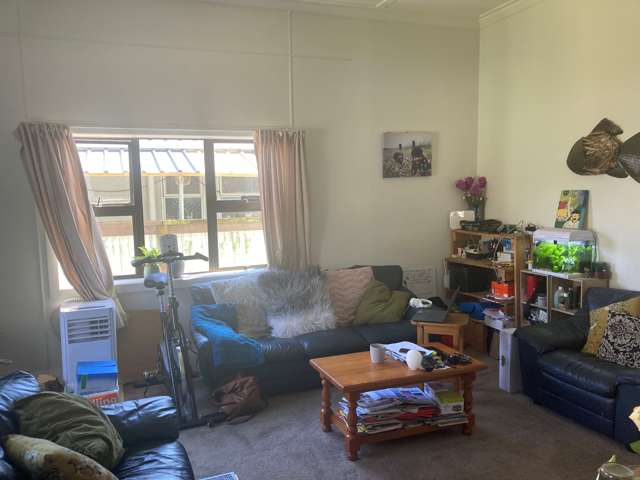 14 Lyndhurst Street Awapuni_3