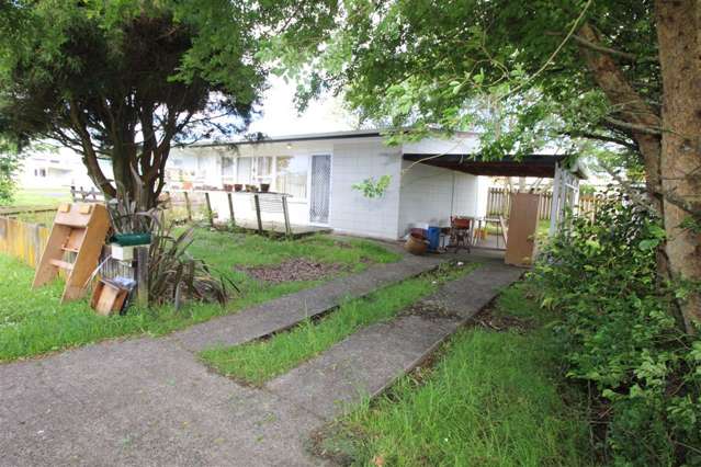 3 Princess Beatrix Avenue Tokoroa_3