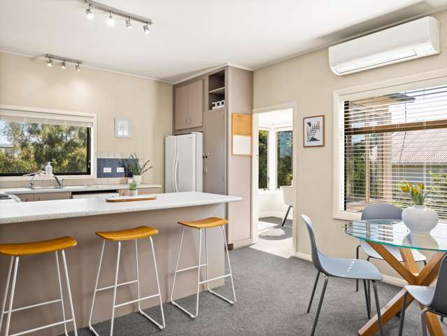 16 Spottiswoode Street Andersons Bay_2