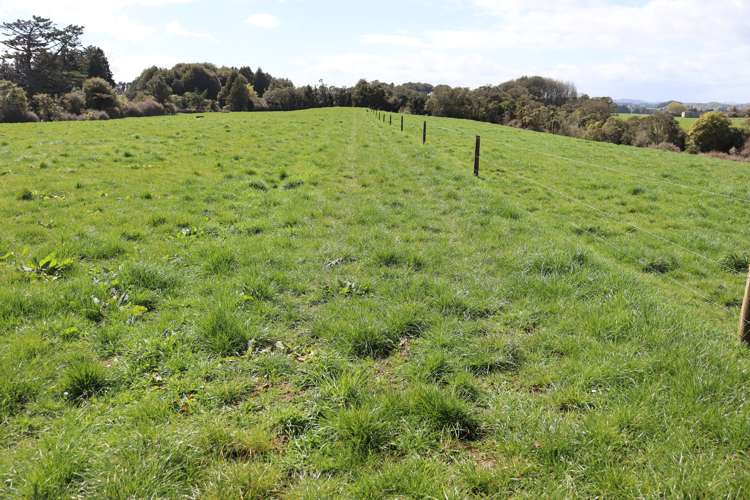 2403 Mountain Road Tariki_17