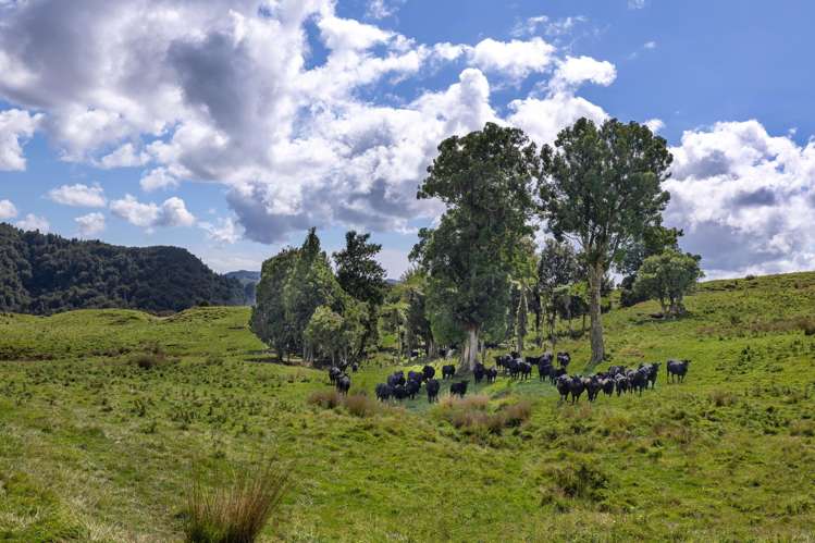 1221 Waitewhena Road Taumarunui_32