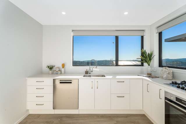 33 Cottonwood Lane Woodridge_3