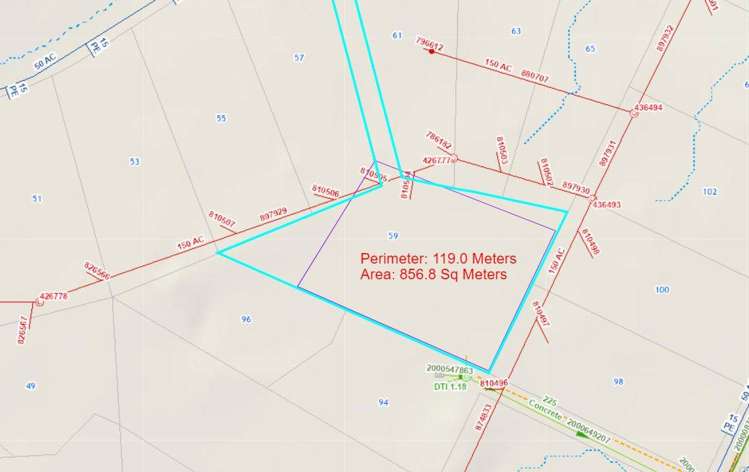 59 Divich Avenue Te Atatu South_9