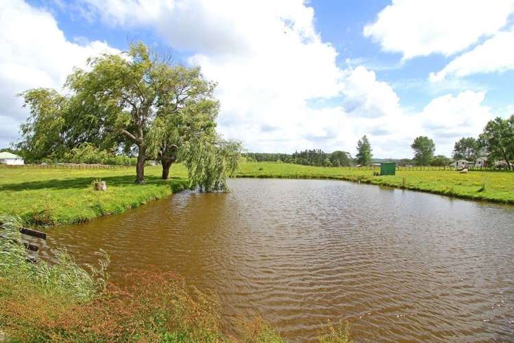 207 Postman Road Dairy Flat_15