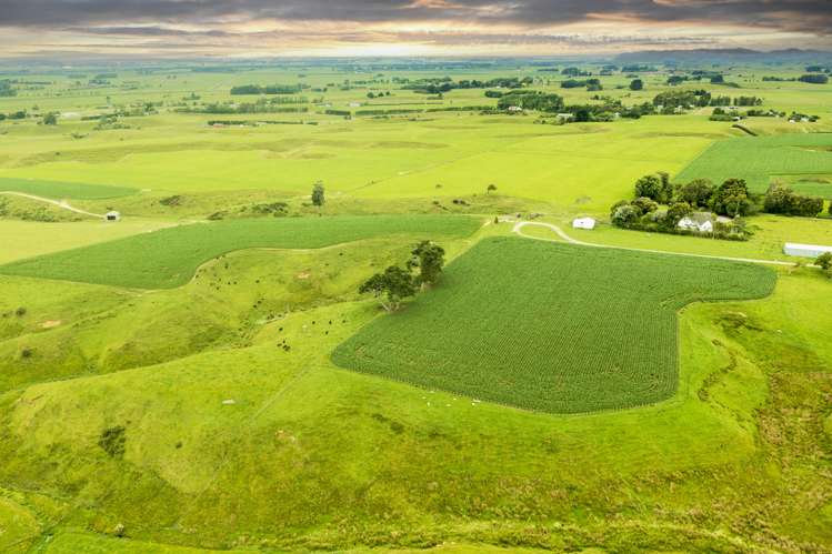 159 Koputaroa Road Levin_14