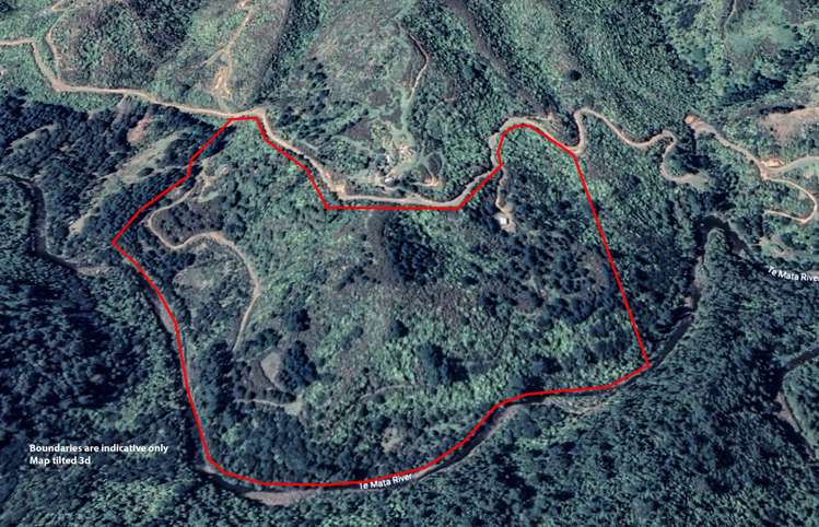 427 Bennett Road Te Mata_9