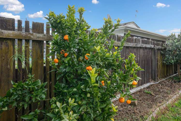 1/66 Birdwood Avenue Papatoetoe_14