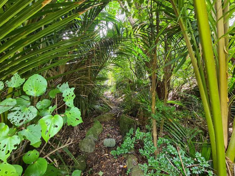 51B Waihirere Drive Coromandel_26