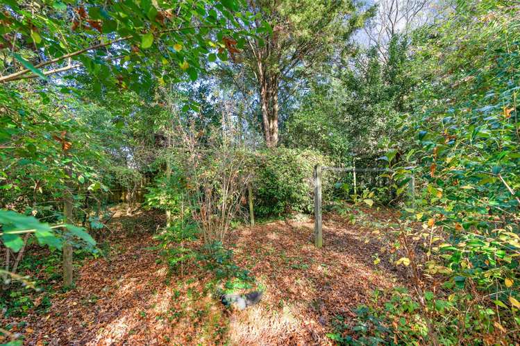 131 Main Street Greytown_18