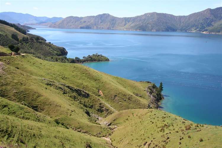 Picnic Bay Marlborough Sounds_2