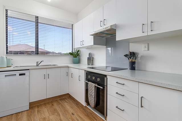 1/65 Havelock Street Renwick_1