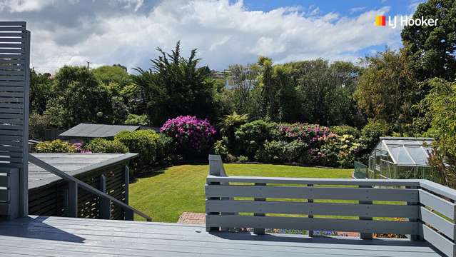 43 Norman Street Tainui_3