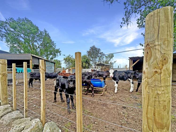 1068 Paeroa-Tahuna Road Te Aroha_22