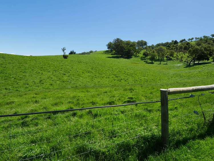 996 Goodwood Road Palmerston_22