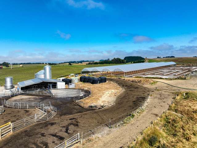 Affordable Dairy with Scale and Top Infrastructure